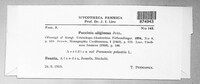 Puccinia uliginosa image